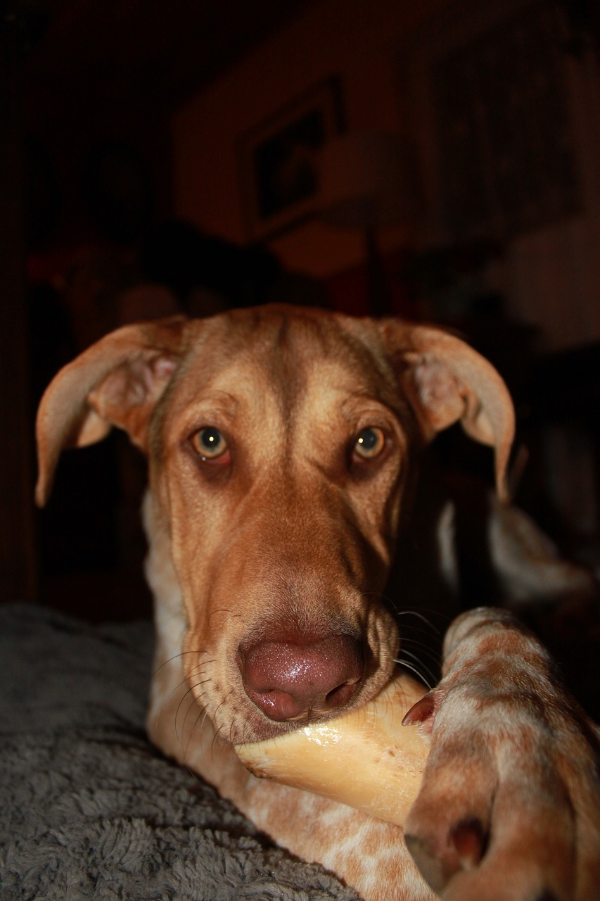 You are currently viewing 245