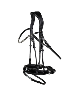 P.F-23206-Bridle-like-picture-with-leather-reins