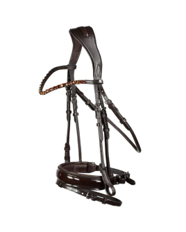 P.F-23207-Bridle-like-picture-with-leather-reins