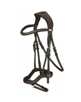 P.F-23209-Bridle-like-picture-with-leather-reins