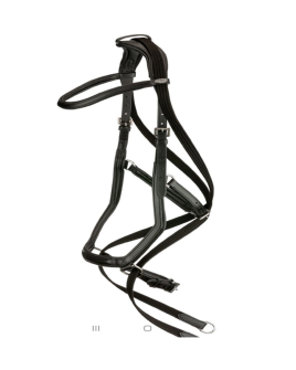 P.F-23210-Bridle-like-picture-with-PMS-niwar-reins